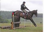 UN KING SIZE CHEZ WILLIAM FOX PITT !