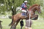 PUNCH DE L'ESQUES L'EXPLOIT au CCI 4* de PAU