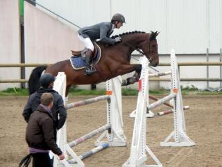 TAÏGA de L'ESQUES QUALIFIEE POUR FONTAINEBLEAU