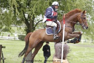 PUNCH DE L'ESQUES L'EXPLOIT au CCI 4* de PAU PUNCH DE L'ESQUES L'EXPLOIT au CCI 4* de PAU