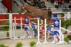 CHABADA de L'ESQUES à St Lô à la finale du concours étalons.